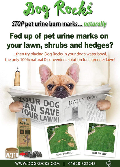 DOG ROCKS Water Feed Bowl Igneous Rock Stone Stop Pet Urine Lawn Grass Burn