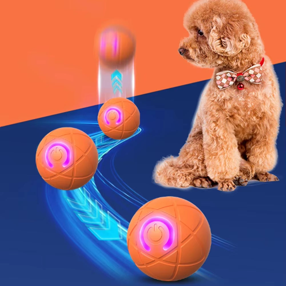 Interactive Rolling Dog Toy Ball