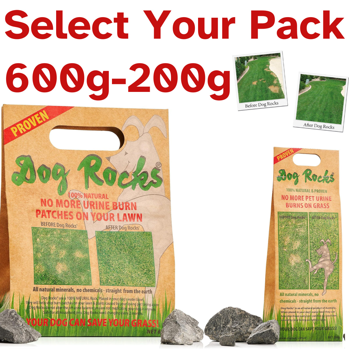 DOG ROCKS Water Feed Bowl Igneous Rock Stone Stop Pet Urine Lawn Grass Burn