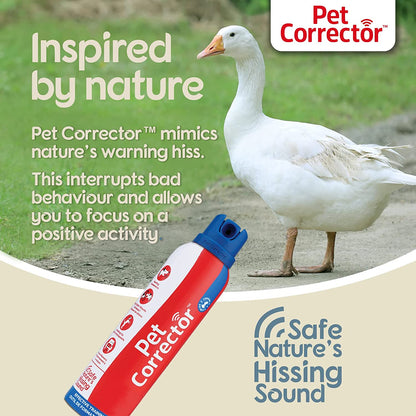 Ap2 the Pet Corrector (2 Pack), 2 X 30 Ml