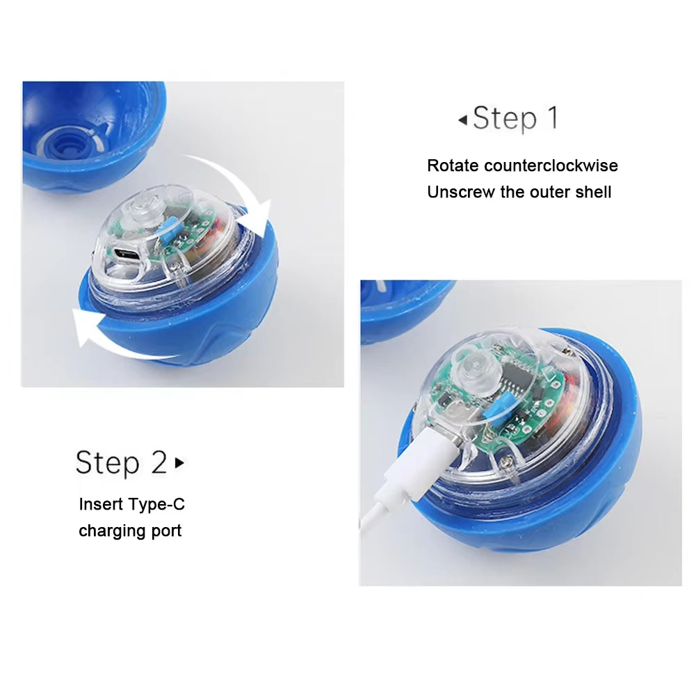 Interactive Rolling Dog Toy Ball