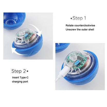 Interactive Rolling Dog Toy Ball