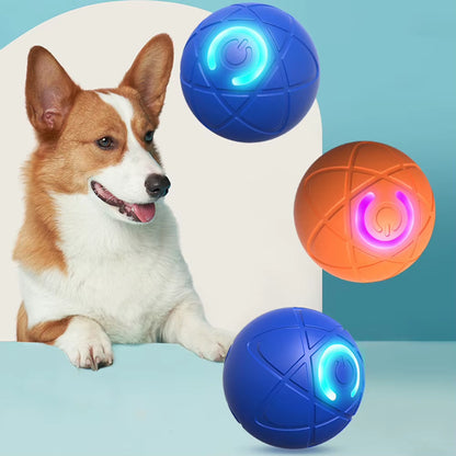 Interactive Rolling Dog Toy Ball