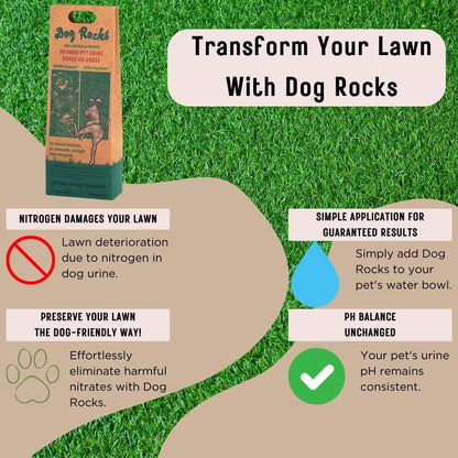 DOG ROCKS Water Feed Bowl Igneous Rock Stone Stop Pet Urine Lawn Grass Burn