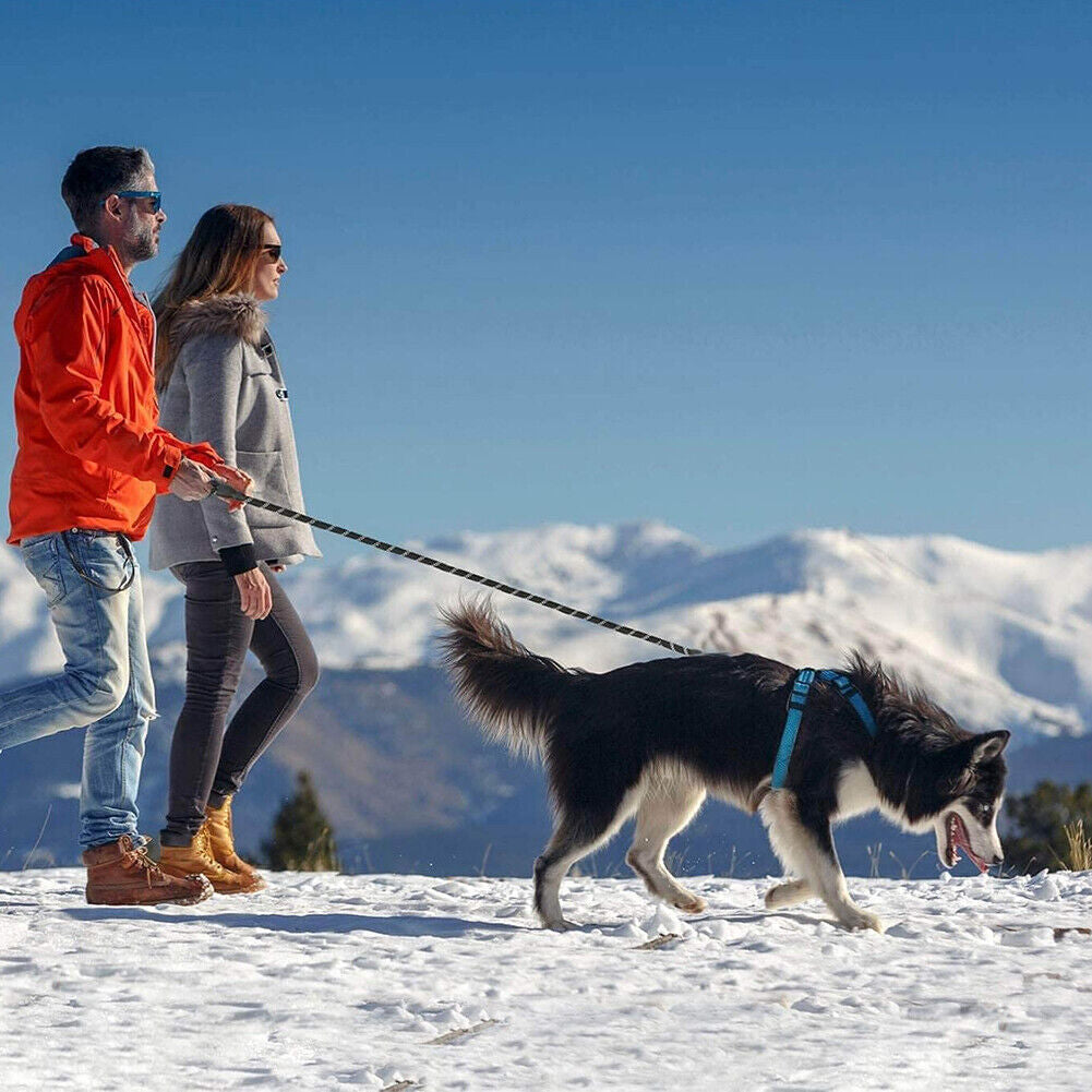 5FT Leash Braided Rope Pet Dog Leads Strong Reflective Soft for M/Large Dog Walk