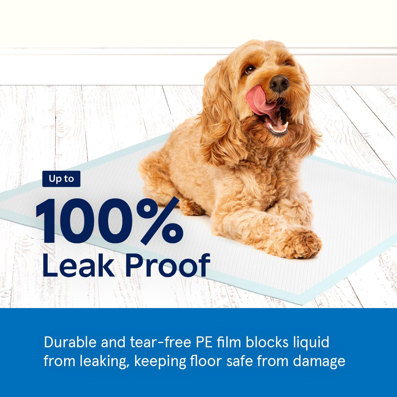 Pee Pads for Dog & Puppy Training [100-COUNT] Pet Potty Pads for Small Dogs 22" X 22" Leak-Proof Design - Quick-Dry Surface - Heavy Duty Absorbent Disposable Wee Pad - Dog & Puppy Products Bulk Pack