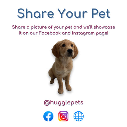 Dog Chew Toys Zeus Nosh Chicken Bacon Beef Cheese Flavour Trio Tough Nylon Stick