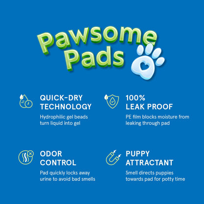 Pee Pads for Dog & Puppy Training [100-COUNT] Pet Potty Pads for Small Dogs 22" X 22" Leak-Proof Design - Quick-Dry Surface - Heavy Duty Absorbent Disposable Wee Pad - Dog & Puppy Products Bulk Pack