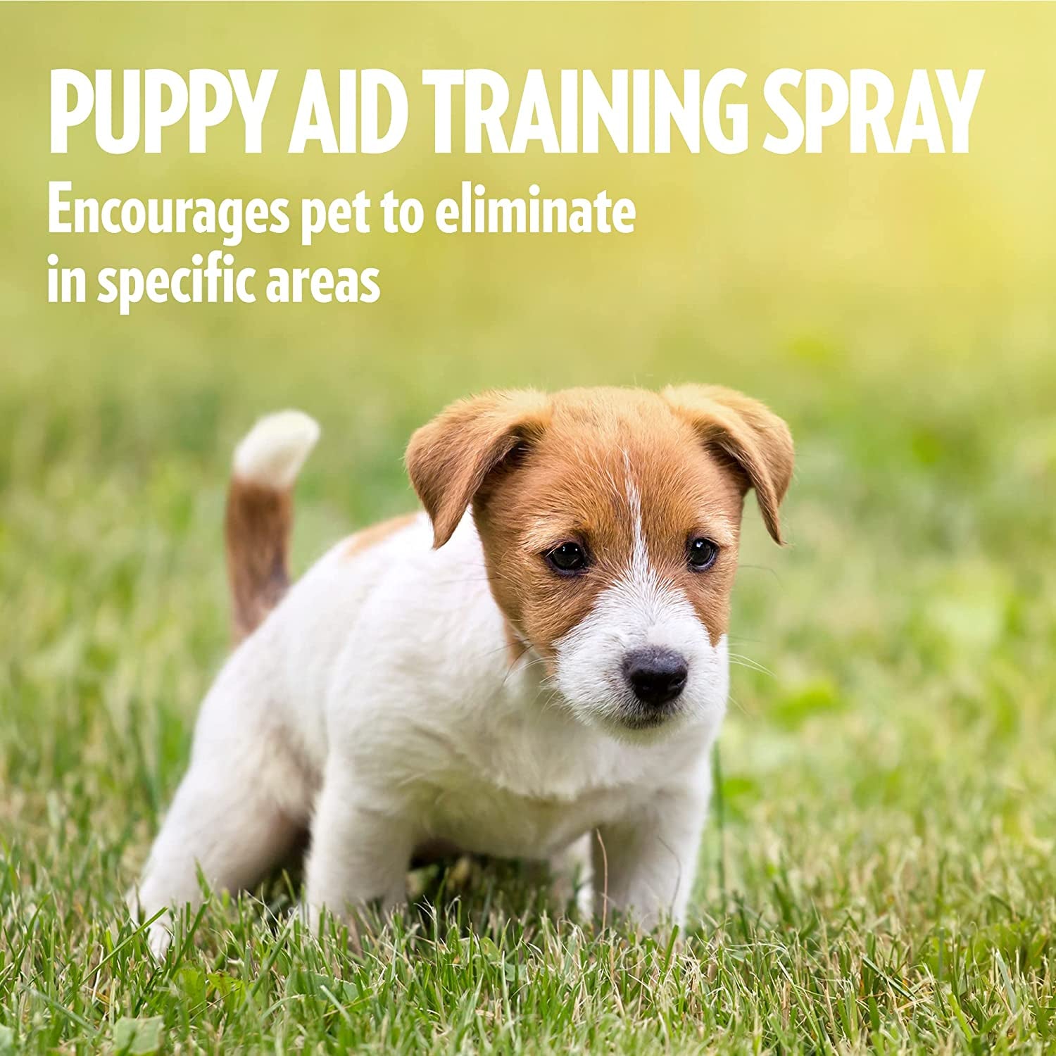 House-Training Aid for Puppies and Dogs - 500Ml