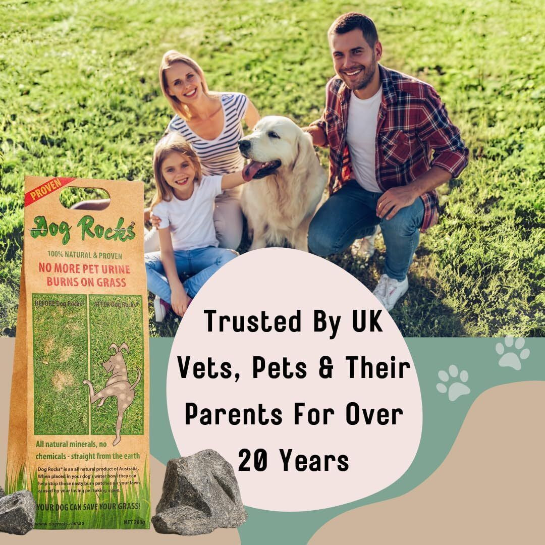 DOG ROCKS Water Feed Bowl Igneous Rock Stone Stop Pet Urine Lawn Grass Burn