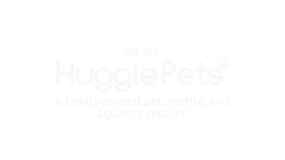 Dog Chew Toys Zeus Nosh Chicken Bacon Beef Cheese Flavour Trio Tough Nylon Stick